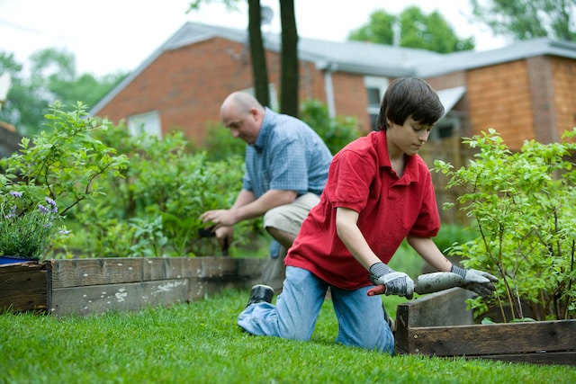 How to Sterilize Potting Soil for Your Plants’ Wellbeing